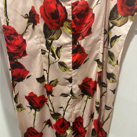 NWT Cider Satin Forgotten Rose Maxi Dress - Picture 9 of 9